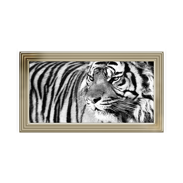 Tiger Eyes