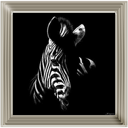 Wildlife Scratchboards V