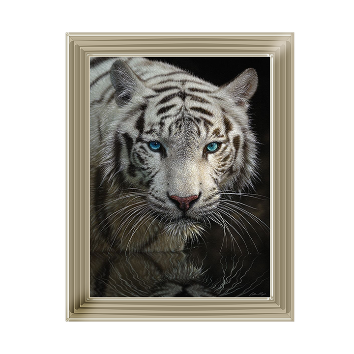 White Tiger - Into the Light