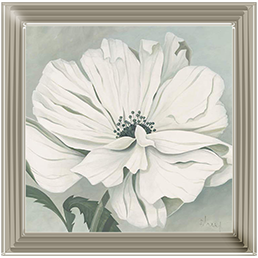 White poppy