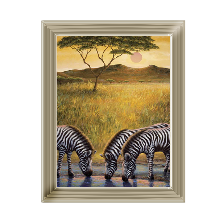 AN039 Zebra Respite