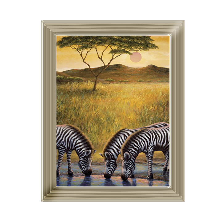 AN039 Zebra Respite