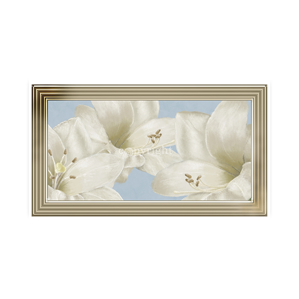 White Amaryllis III