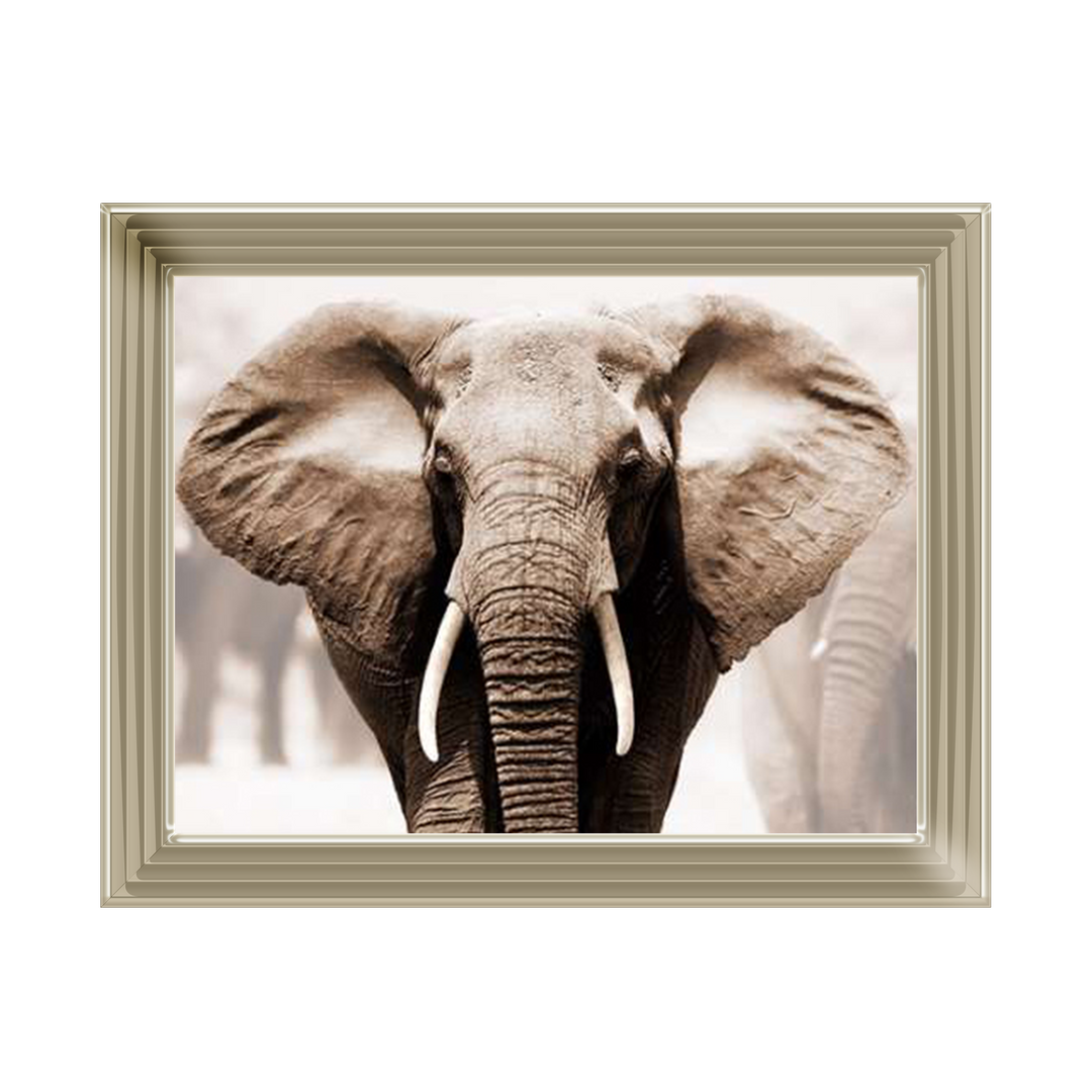AN071 African Elephant