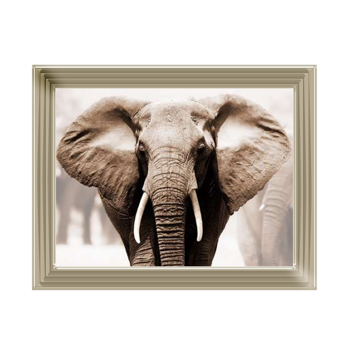 AN071 African Elephant