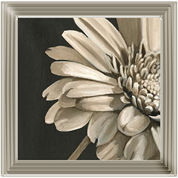 FL038 Classical Blooms IV