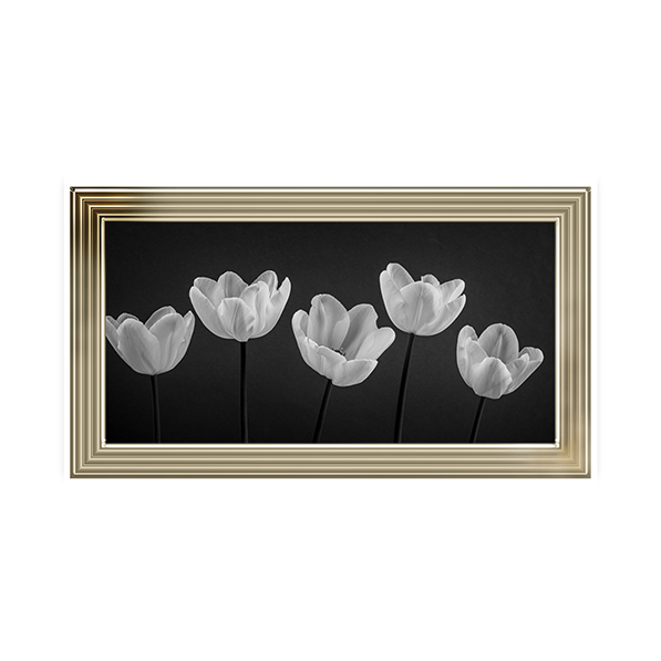 Five Tulips in a row