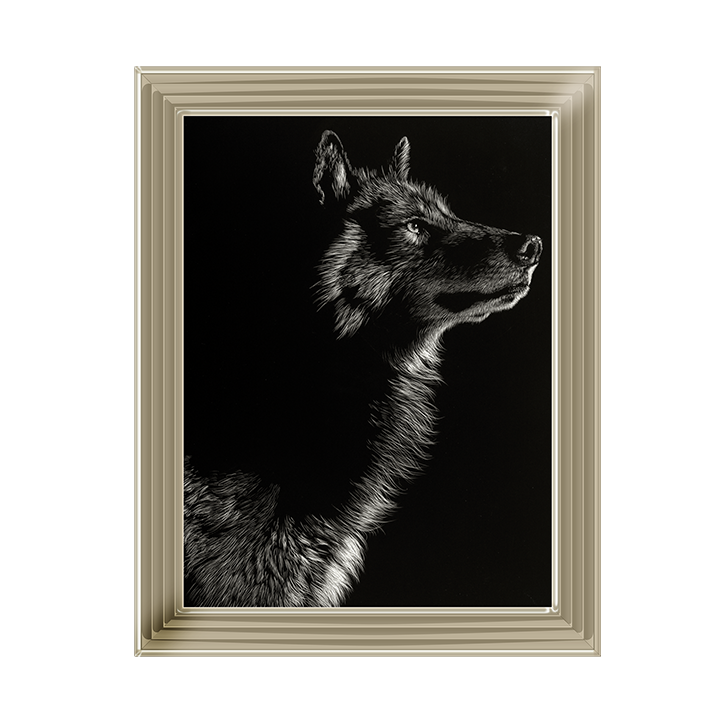 Scratchboard Wolf II