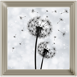 FL010 Dandelion pair