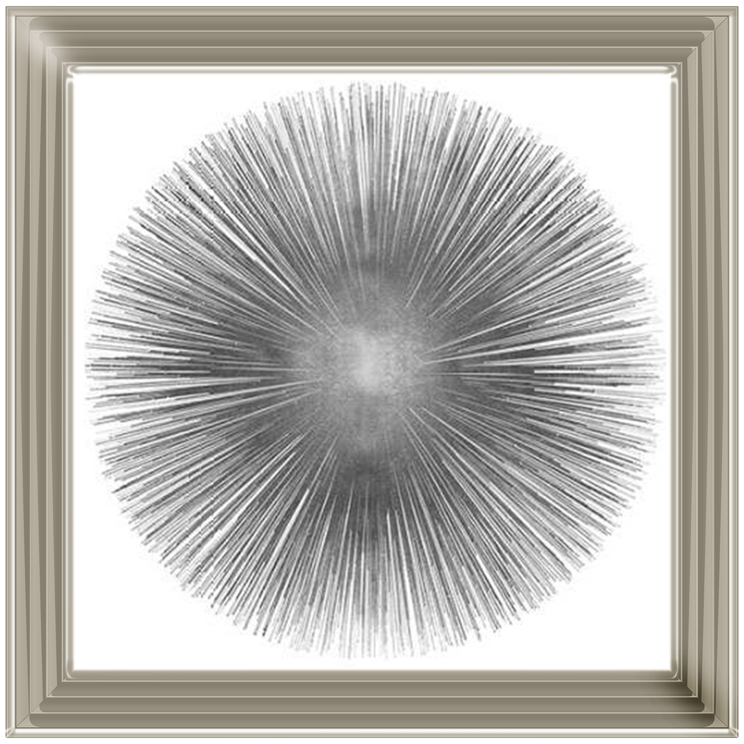 MD002 (AY112556) Silver Sunburst 1