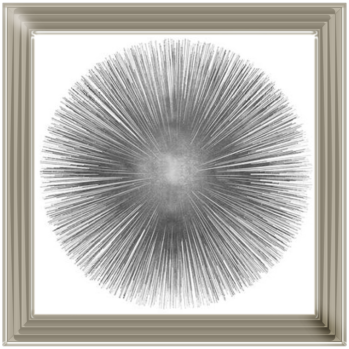 MD002 (AY112556) Silver Sunburst 1