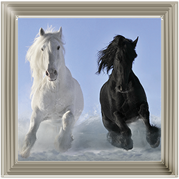 Salt And Pepper