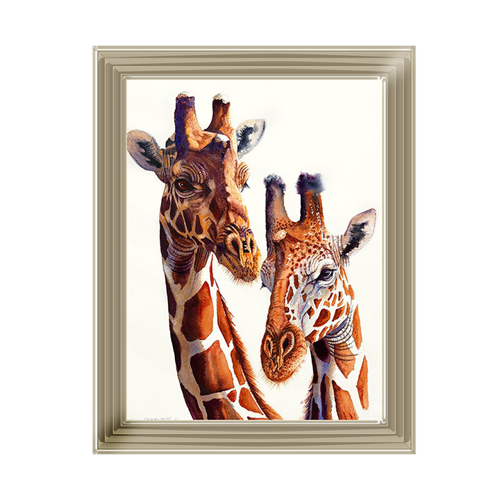 Safari Giraffes