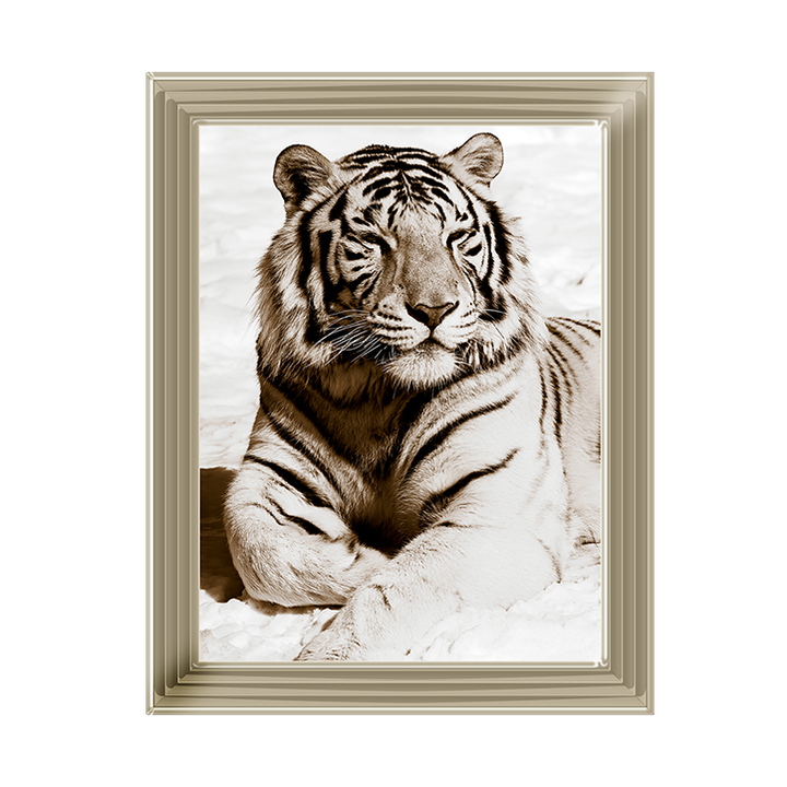 AN043 African Animals Series - Tiger A