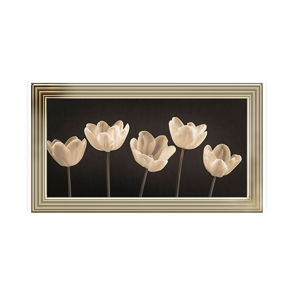 Five Tulips in a row