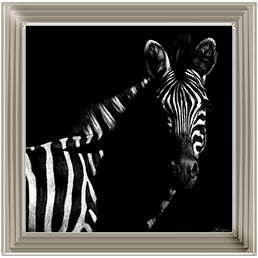 Wildlife Scratchboards IV