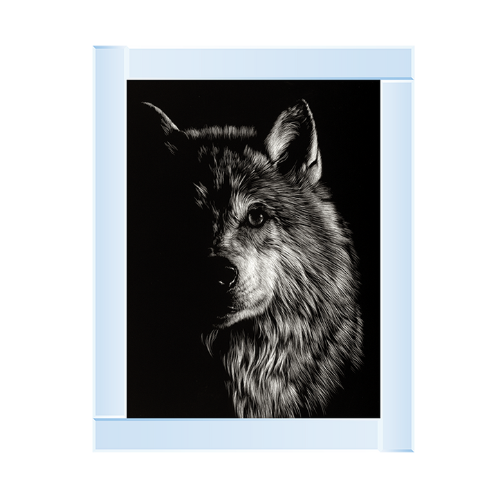 Scratchboard Wolf III