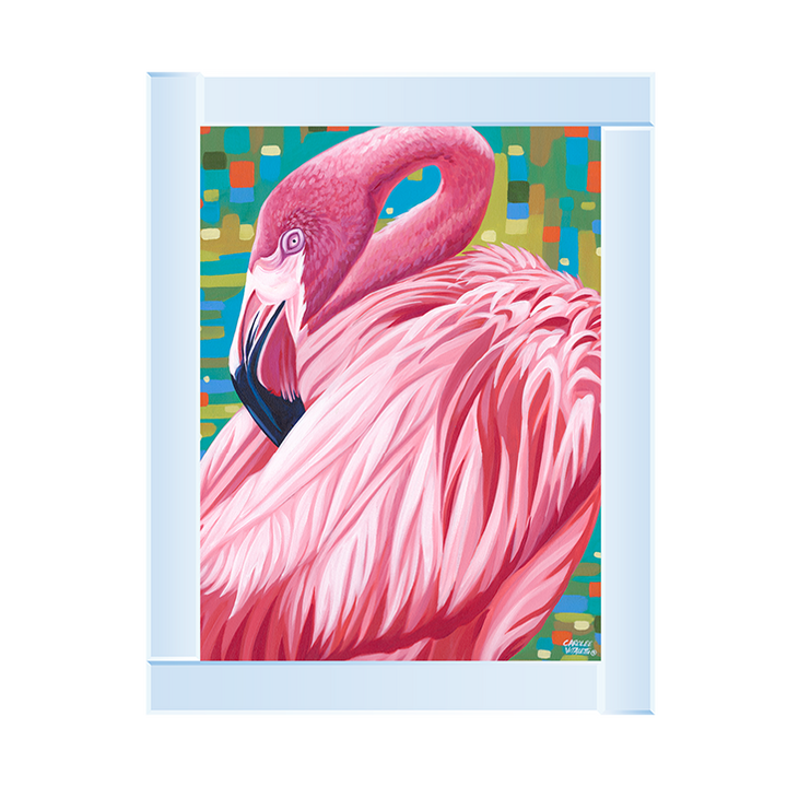 Fabulous Flamingos II