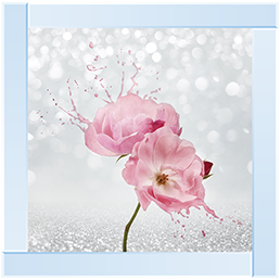 Pink Floral Silver Background