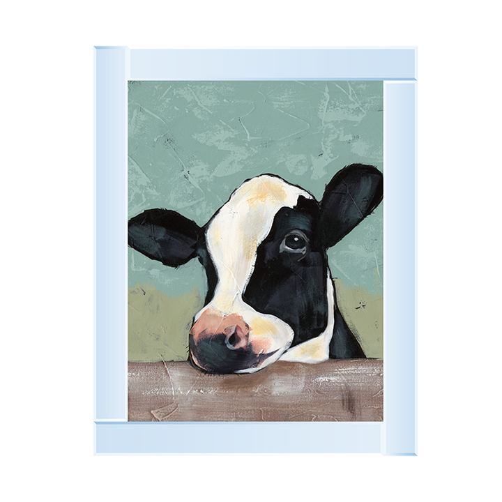 Holstein Cow II