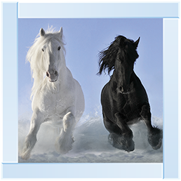 Salt And Pepper