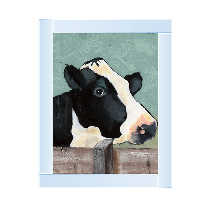 Holstein Cow I