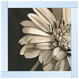 FL038 Classical Blooms IV