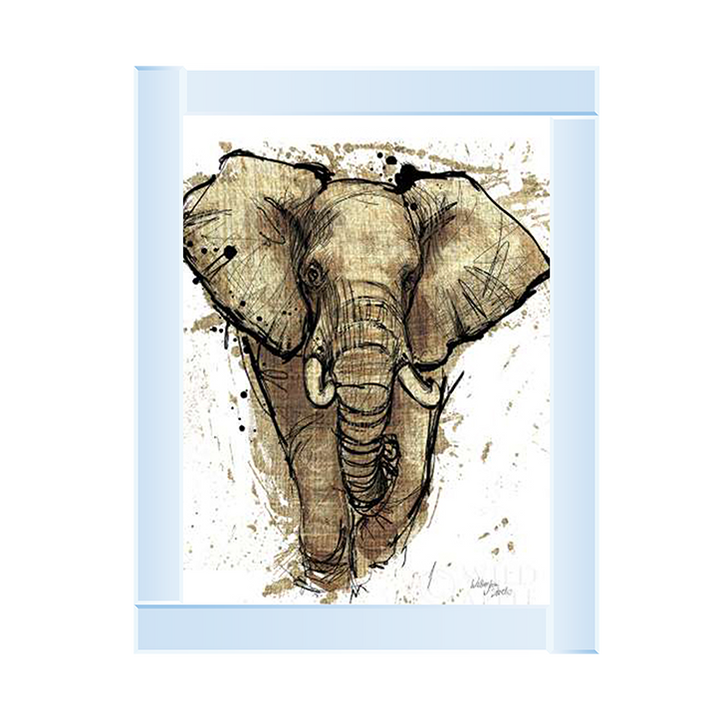 Gold Africa I on White Crop