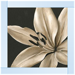 FL037 Classical Blooms III