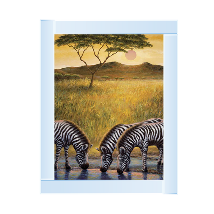 AN039 Zebra Respite
