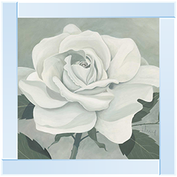 FL023 Rose One