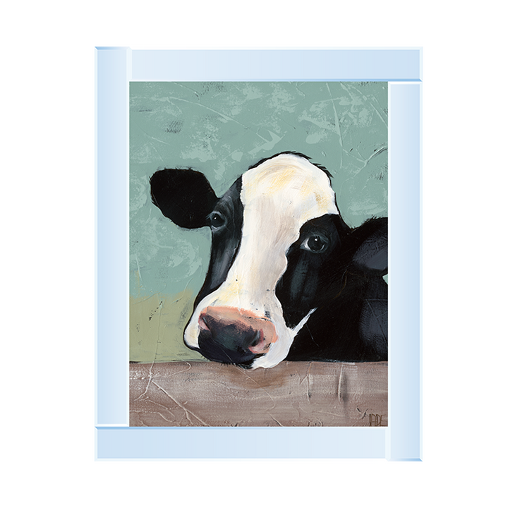 Holstein Cow III