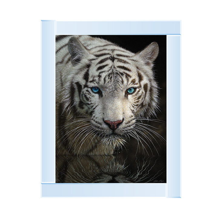 White Tiger - Into the Light