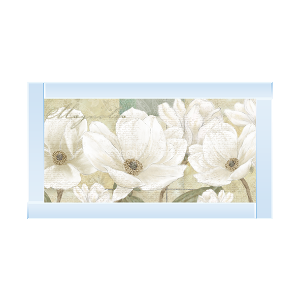 Magnolia