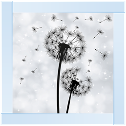 FL010 Dandelion pair