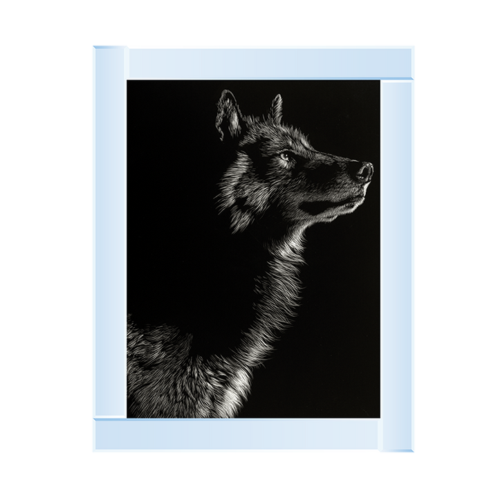 Scratchboard Wolf II