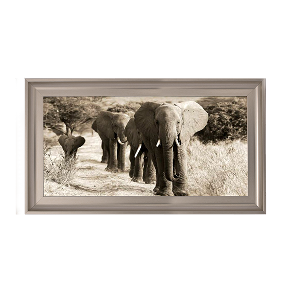 Herd of African Elephants- Kenya