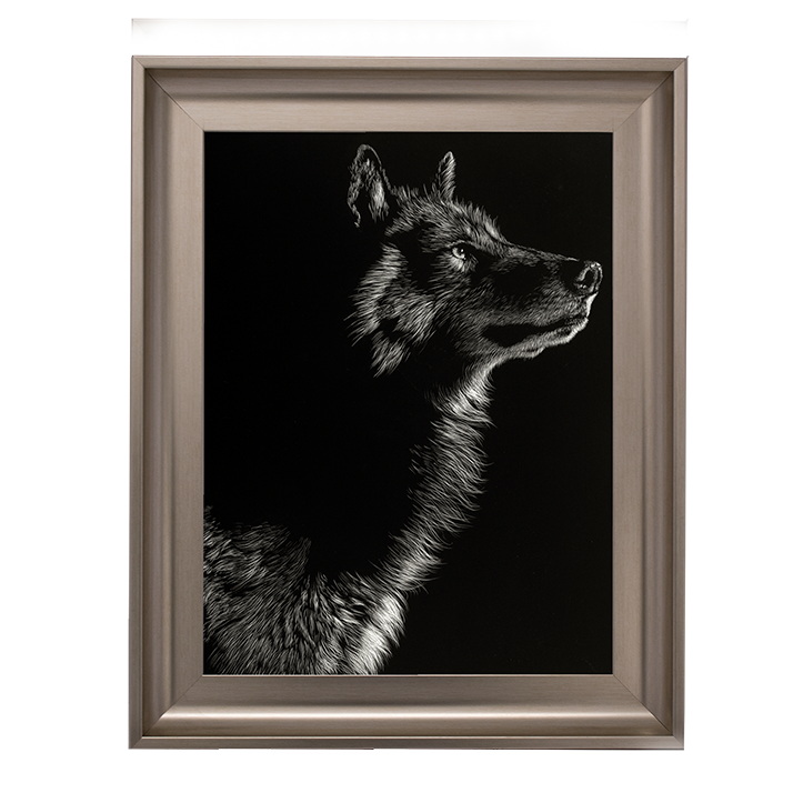 Scratchboard Wolf II