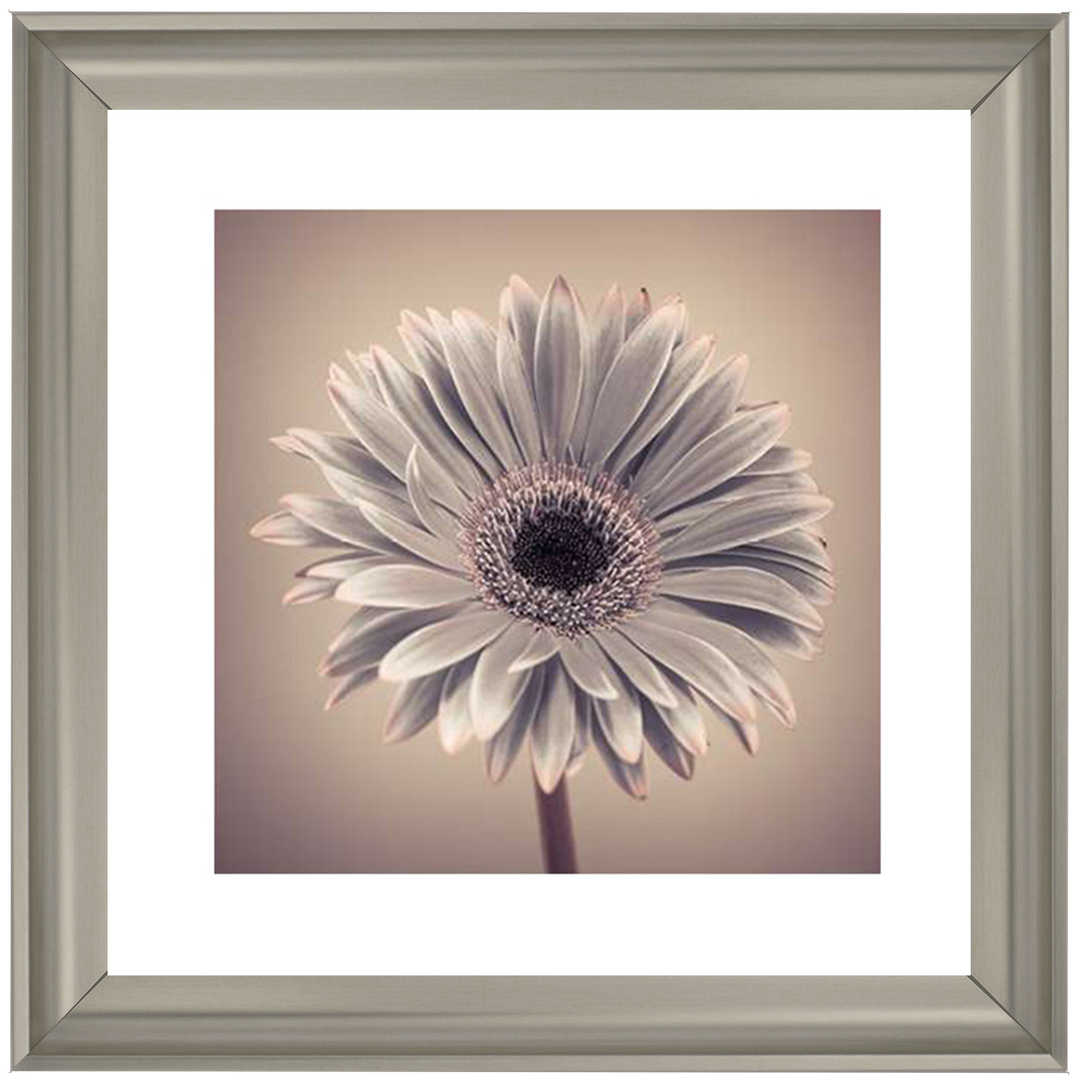 FL013 Pink Gerbera 1