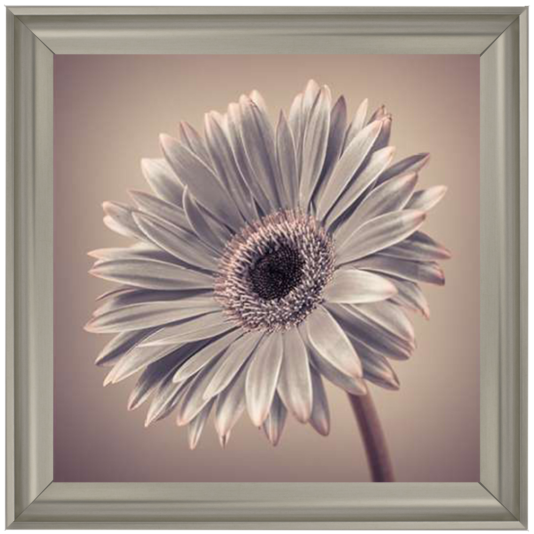 FL014 Pink Gerbera 2