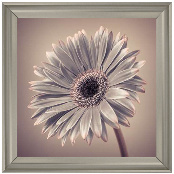 FL014 Pink Gerbera 2
