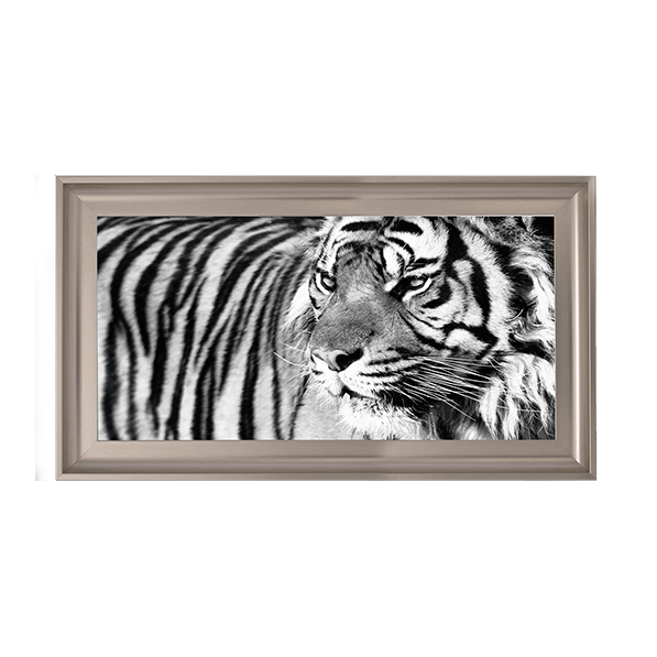 Tiger Eyes