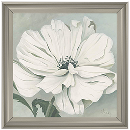 White poppy