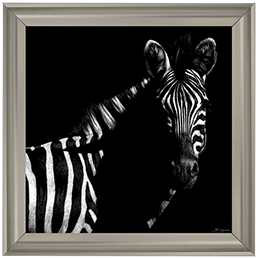 Wildlife Scratchboards IV