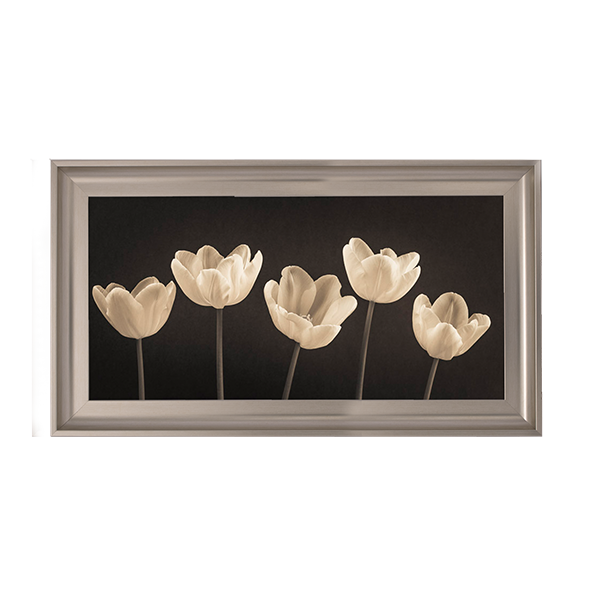 Five Tulips in a row