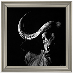 Wildlife Scratchboards VIII