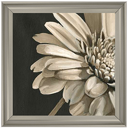 FL038 Classical Blooms IV