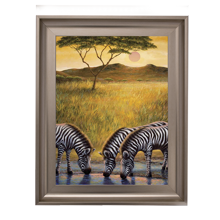 AN039 Zebra Respite