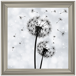 FL010 Dandelion pair