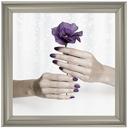 Purple Rose